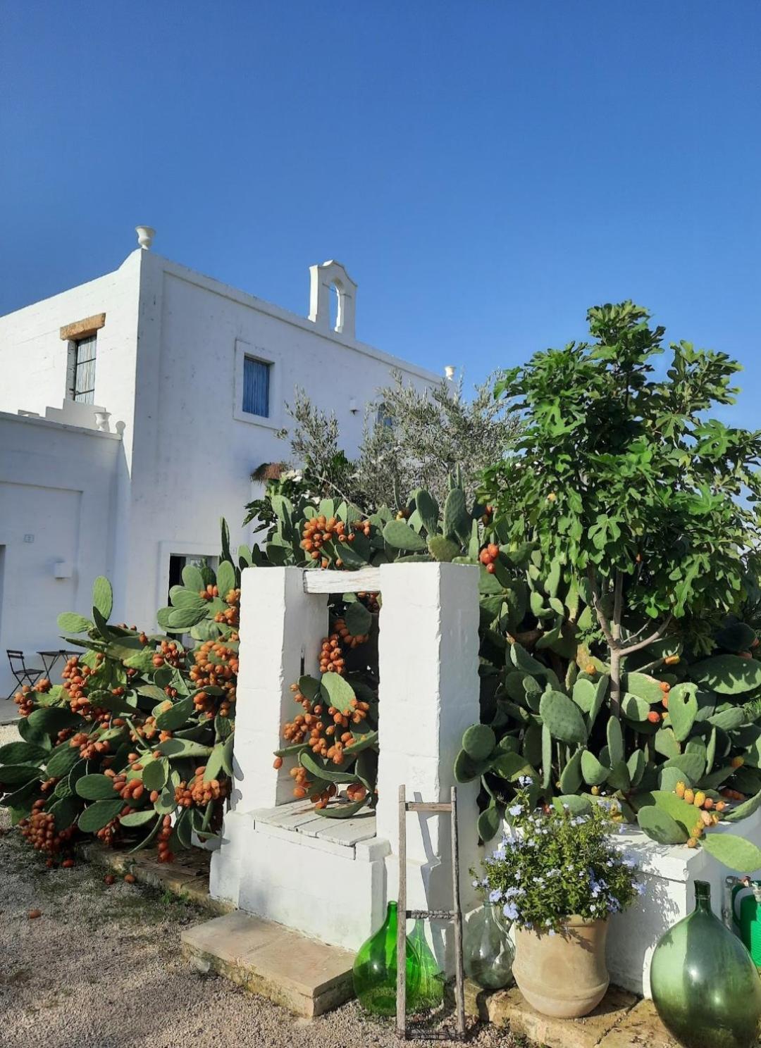 Masseria Fulcignano Galatone Exteriér fotografie