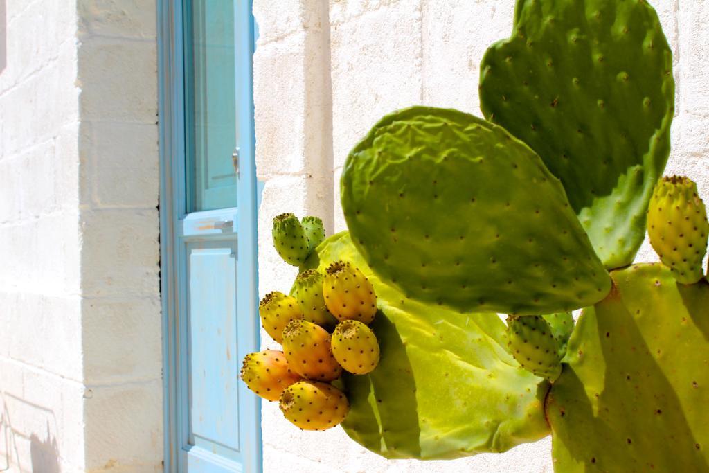 Masseria Fulcignano Galatone Exteriér fotografie