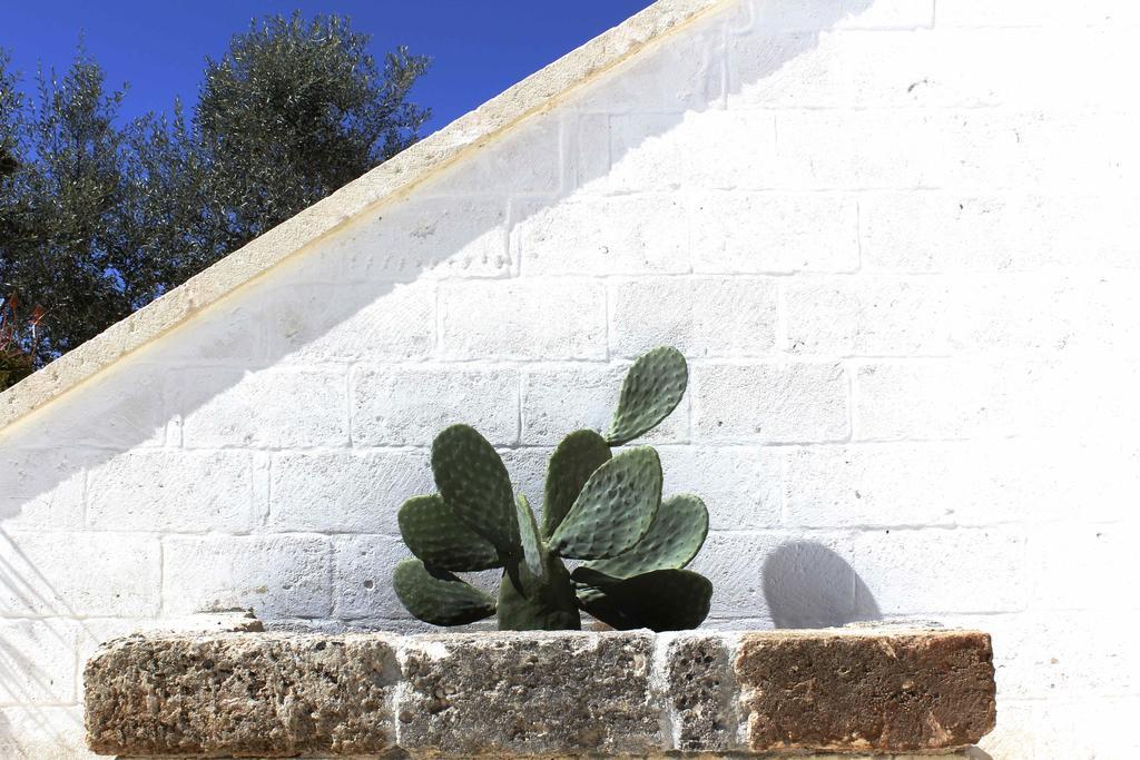 Masseria Fulcignano Galatone Exteriér fotografie